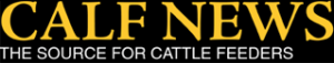 calf-news